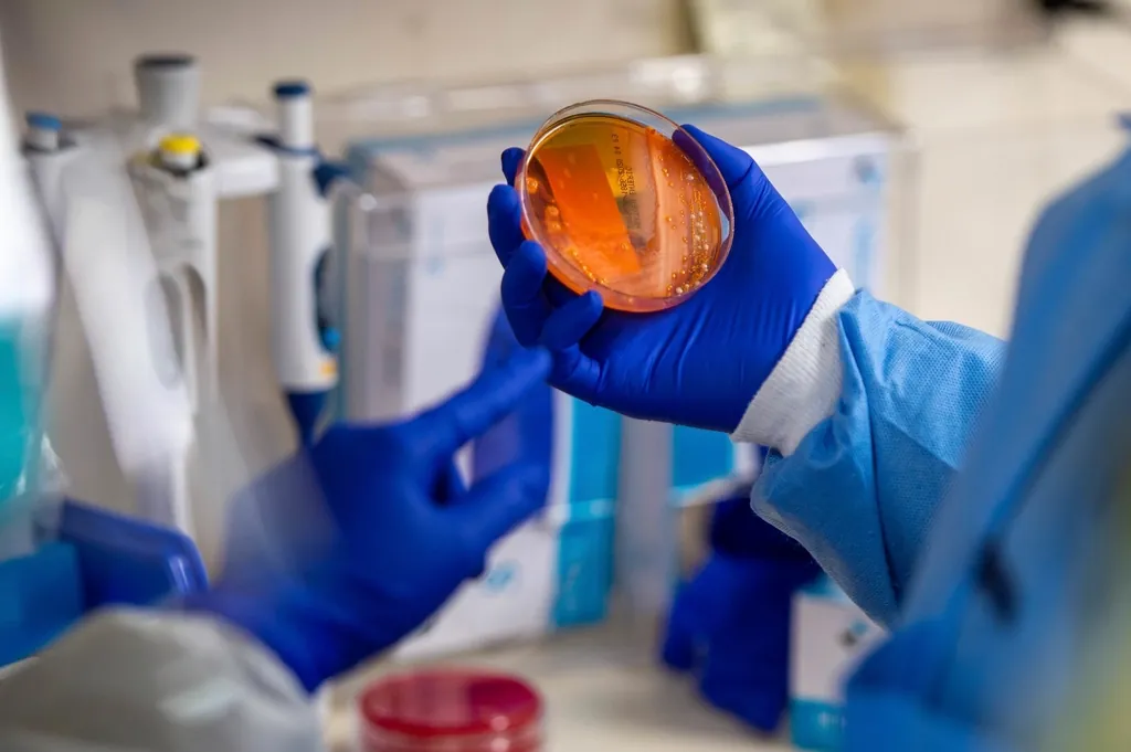 Gloved analyst holding a culture plate in a quality control laboratory